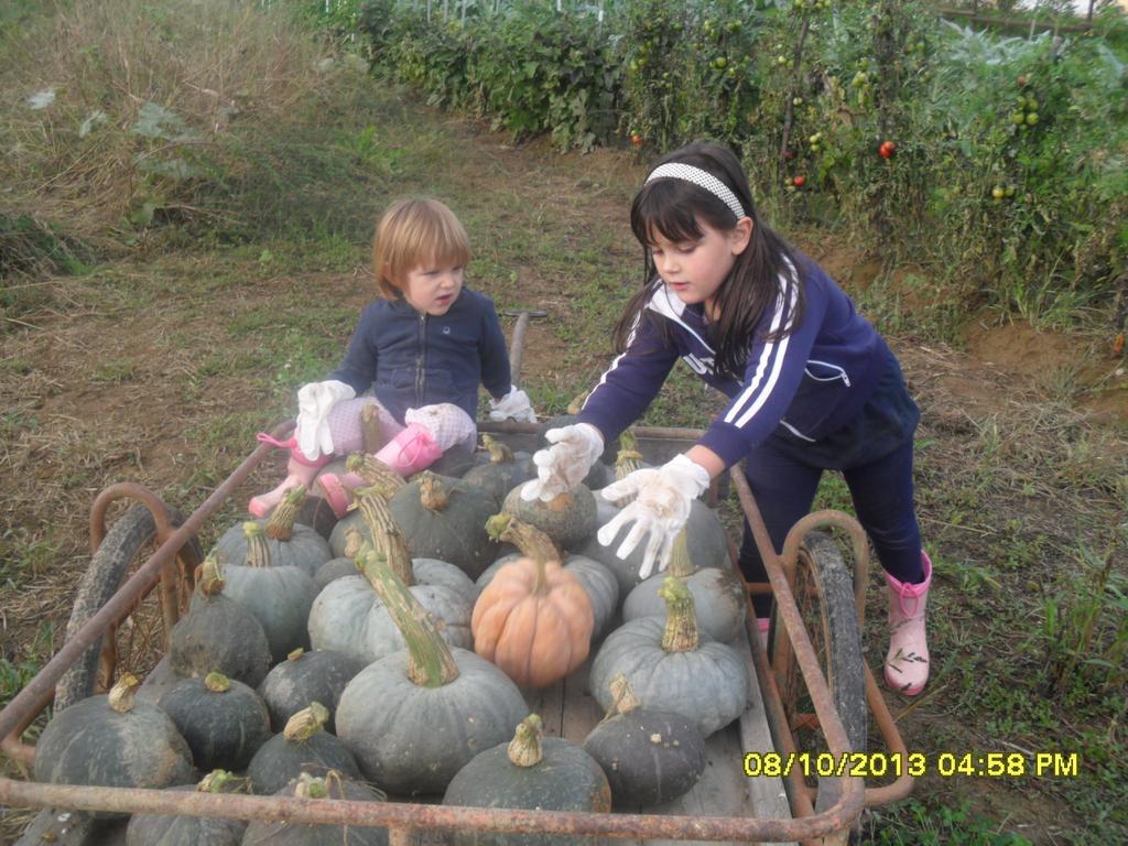 Agriturismo L'Antico Sapore Baraggia di Boca ภายนอก รูปภาพ