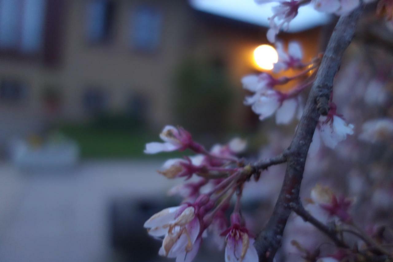 Agriturismo L'Antico Sapore Baraggia di Boca ภายนอก รูปภาพ